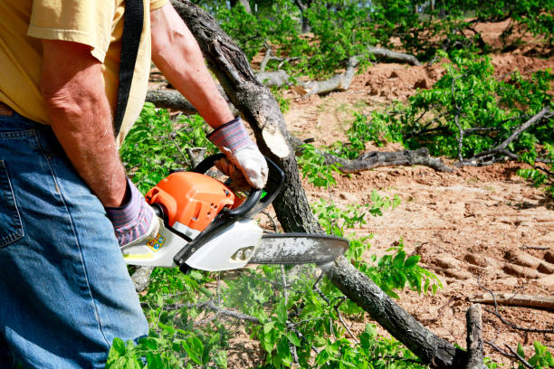 Best Commercial Tree Services  in Rathdrum, ID